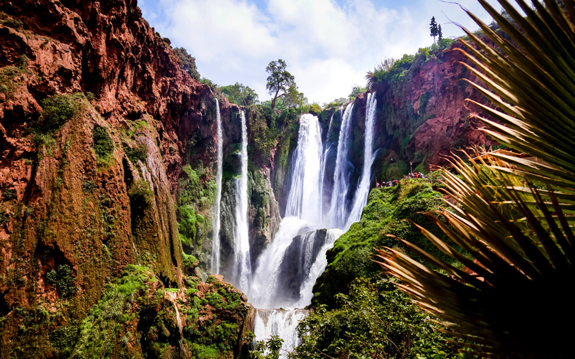 Excursiónes de día desde Marrakech a Ouzoud Cascadas